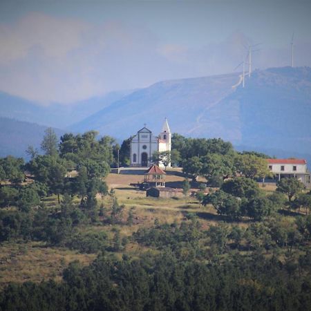 Вилла Quinta Da Rocha 1875 Педроган-Пекену Экстерьер фото